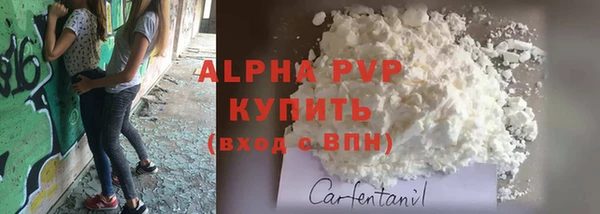 крисы Гусиноозёрск
