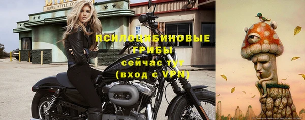 2c-b Гусь-Хрустальный