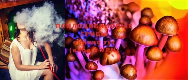 крисы Гусиноозёрск