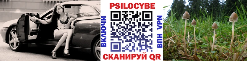 Галлюциногенные грибы мицелий  Набережные Челны 